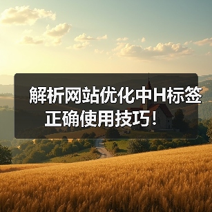 解析网站优化中H标签正确使用技巧！（图2）