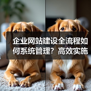 企业网站建设全流程如何系统管理？高效实施指南（图1）
