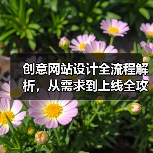 创意网站设计全流程解析，从需求到上线全攻略（图3）