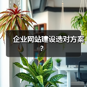 企业网站建设选对方案？（图3）