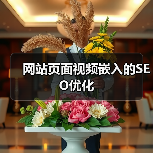 网站页面视频嵌入的SEO优化（图3）