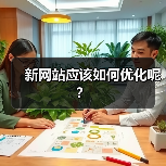 新网站应该如何优化呢？（图2）
