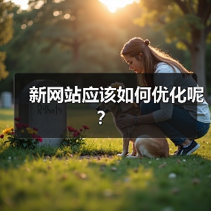 新网站应该如何优化呢？