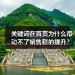 关键词在首页为什么带动不了销售额的提升？（图4）