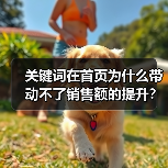 关键词在首页为什么带动不了销售额的提升？（图3）