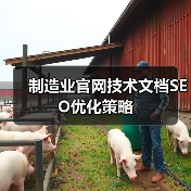 制造业官网技术文档SEO优化策略（图3）