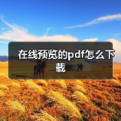 在线预览的pdf怎么下载（图4）