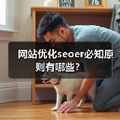 网站优化seoer必知原则有哪些？