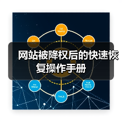 网站被降权后的快速恢复操作手册（图2）