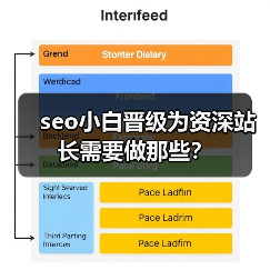 seo小白晋级为资深站长需要做那些？（图2）