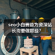 seo小白晋级为资深站长需要做那些？（图4）