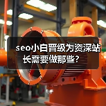 seo小白晋级为资深站长需要做那些？