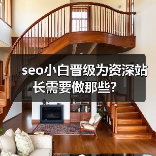 seo小白晋级为资深站长需要做那些？（图3）