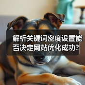 解析关键词密度设置能否决定网站优化成功？（图2）