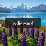 redis scard（图1）
