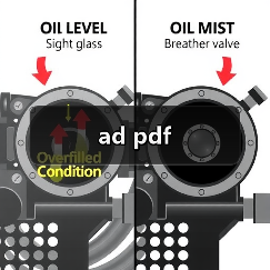 ad pdf（图4）