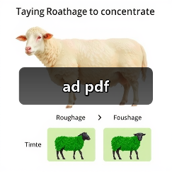 ad pdf（图3）