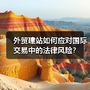 外贸建站如何应对国际交易中的法律风险？（图2）