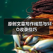 原创文章写作规范与SEO收录技巧（图3）