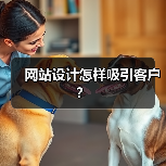 网站设计怎样吸引客户？（图3）