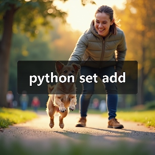 python set add（图2）
