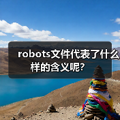 robots文件代表了什么样的含义呢？（图1）