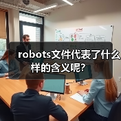 robots文件代表了什么样的含义呢？（图2）