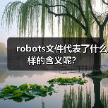 robots文件代表了什么样的含义呢？（图4）