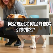 网站建设如何提升搜索引擎排名？（图2）