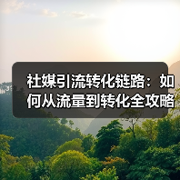 社媒引流转化链路：如何从流量到转化全攻略（图2）