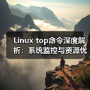 Linux top命令深度解析：系统监控与资源优化全攻略（图2）