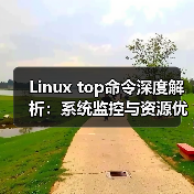 Linux top命令深度解析：系统监控与资源优化全攻略（图3）