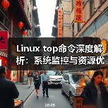 Linux top命令深度解析：系统监控与资源优化全攻略（图1）
