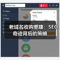 老域名收购重建：SEO奇迹背后的策略（图3）