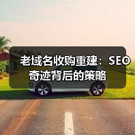 老域名收购重建：SEO奇迹背后的策略（图4）
