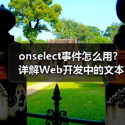 onselect事件怎么用？详解Web开发中的文本选择操作（图4）