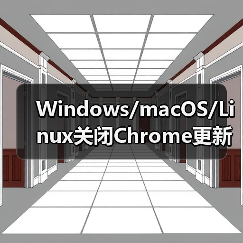 Windows/macOS/Linux关闭Chrome更新全攻略（图3）