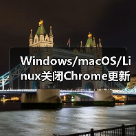 Windows/macOS/Linux关闭Chrome更新全攻略（图4）