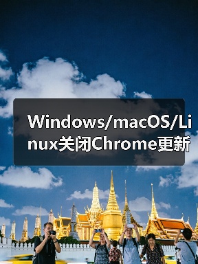 Windows/macOS/Linux关闭Chrome更新全攻略（图1）