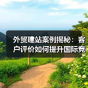 外贸建站案例揭秘：客户评价如何提升国际竞争力（图2）