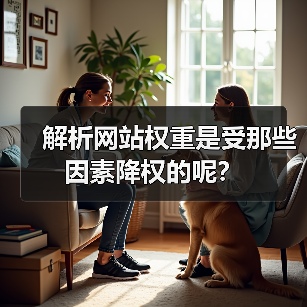 解析网站权重是受那些因素降权的呢？