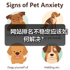 网站排名不稳定应该如何解决？（图4）