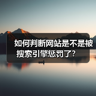 如何判断网站是不是被搜索引擎惩罚了？（图1）