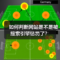 如何判断网站是不是被搜索引擎惩罚了？（图4）
