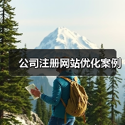 公司注册网站优化案例（图4）