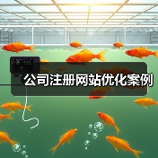公司注册网站优化案例（图1）