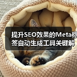 提升SEO效果的Meta标签自动生成工具关键解析（图1）