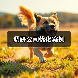 调研公司优化案例（图3）
