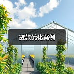 贷款优化案例（图1）
