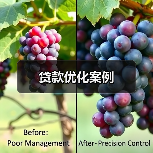 贷款优化案例（图2）